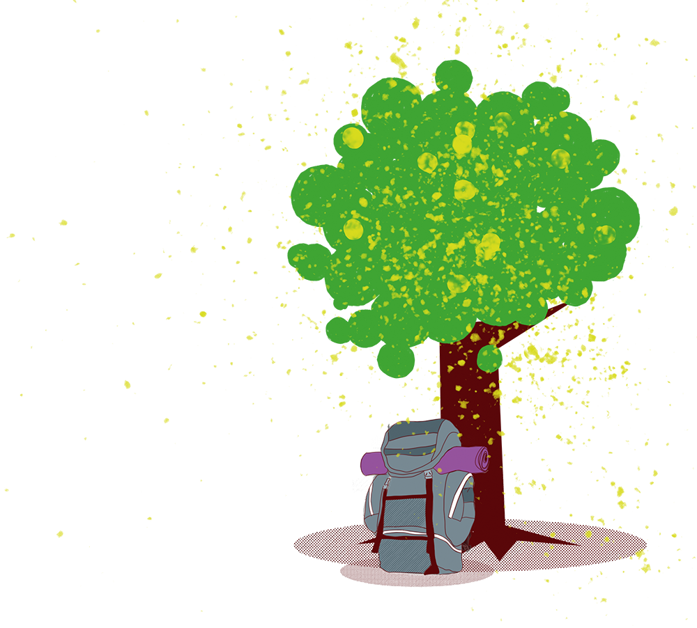 Illustration Rucksack mit Isomatte an einen Baum gelehnt
